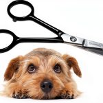 Tiny Trim Safety Scissor Blue Scaredy Cut Pet Grooming-0