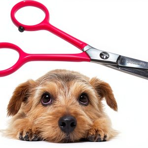 Tiny Trim Safety Scissors for Dogs Blue-0