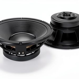 RCF Live Sound Monitor 2.1 Stage Monitor Black-0