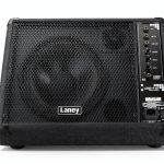 Laney CXP 110 Floor Mount Speaker-0