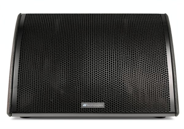 Stage Monitor American Music and Sound 15 Inch LF-3