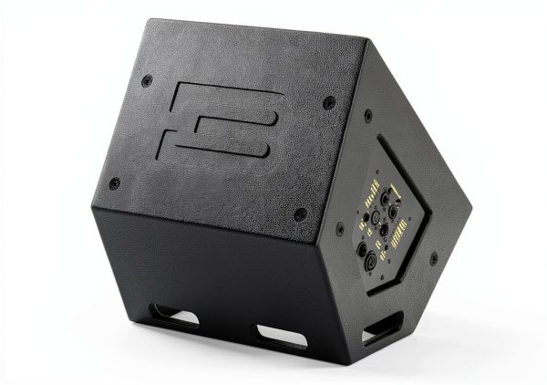 Bassboss CCM12-MK3 12in Coaxial Monitor Black-5
