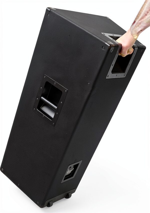 15 Inch PA DJ Speaker Seismic Audio 800W Cabinet-7