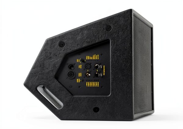 Bassboss CCM12-MK3 12in Coaxial Monitor Black-6