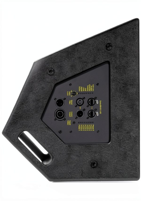 Bassboss CCM12-MK3 12in Coaxial Monitor Black-4