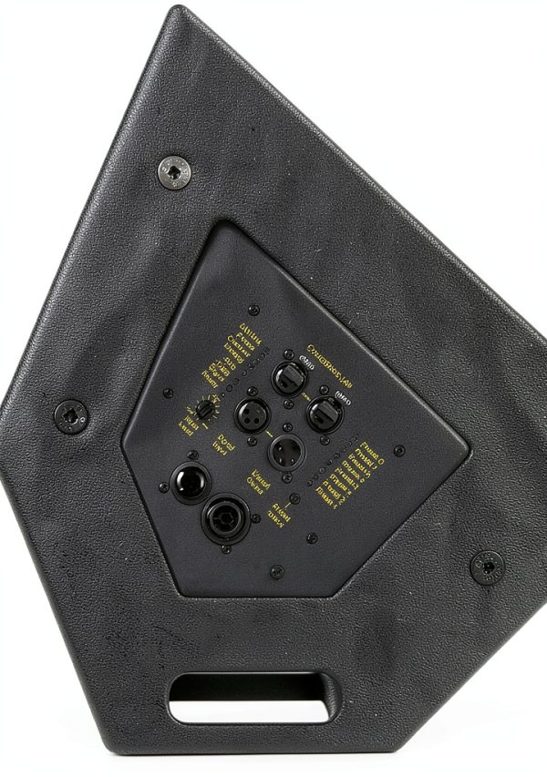 Bassboss CCM12-MK3 12in Coaxial Monitor Black-1