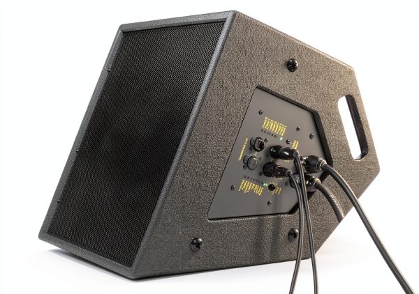 Bassboss CCM12-MK3 12in Coaxial Monitor Black-0
