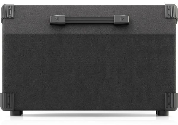 Fender 300W 2‑Way Floor‑Standing Monitor Speaker F1320D Black 12‑Inch-4
