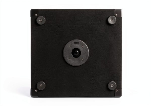 Goldwood Sound Passive DJ Speaker BR12 12" Black Portable Woofer-4