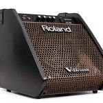 Roland PM-100 Standing Monitor 80W Hi Res Audio 10 Inch Subwoofer-0
