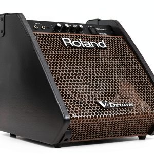 Roland PM-100 Standing Monitor 80W Hi Res Audio 10 Inch Subwoofer-0