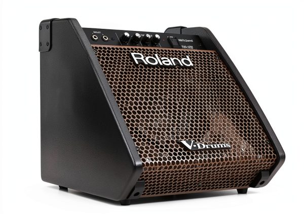 Roland PM-100 Standing Monitor 80W Hi Res Audio 10 Inch Subwoofer-0