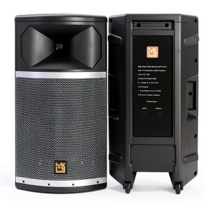 Mr DJ PRO115S 15" Floor Standing Full‑Range Speaker with 4000W PMPO-0